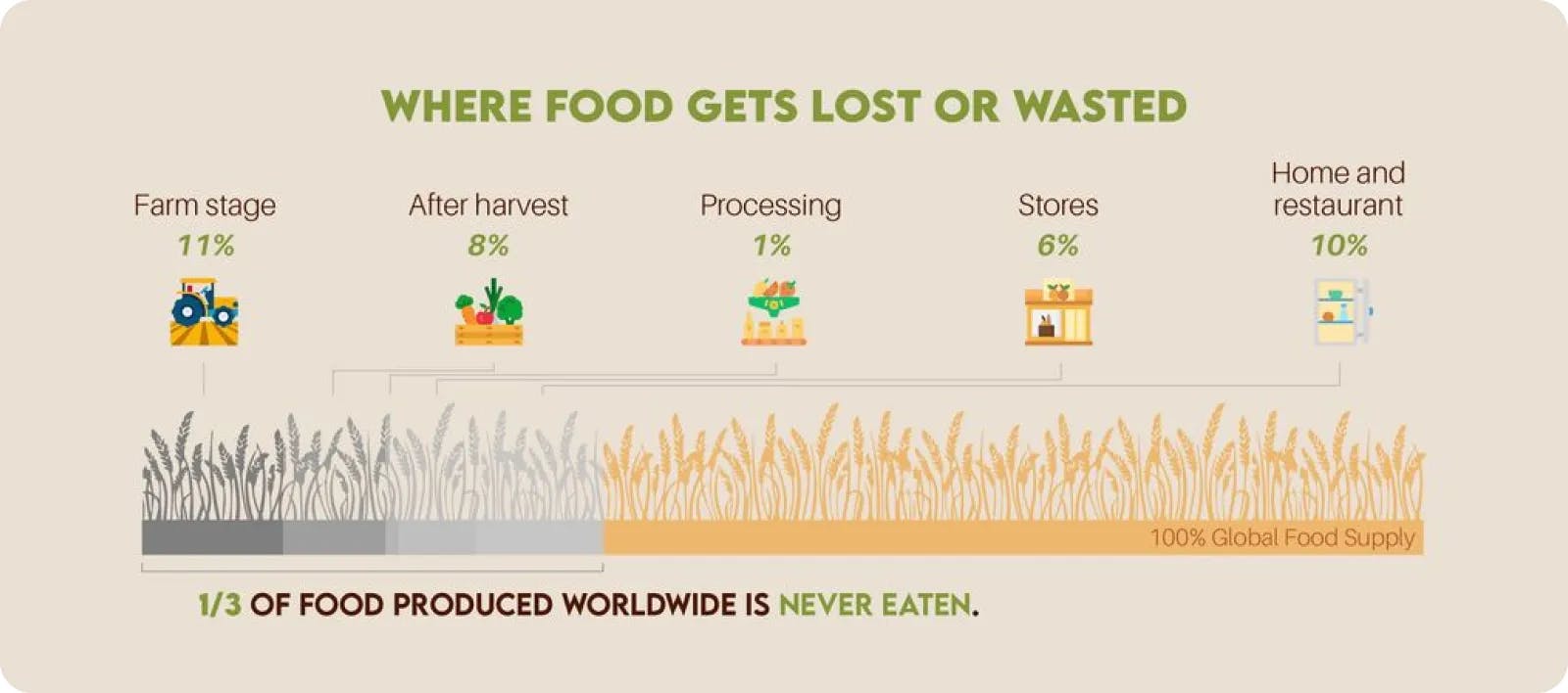 Where foods get lost or wasted